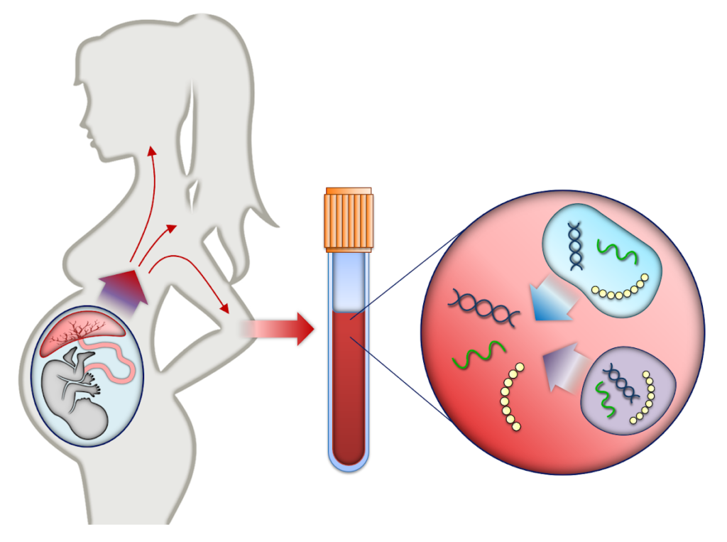 Why is Non-Invasive Prenatal Testing Done?