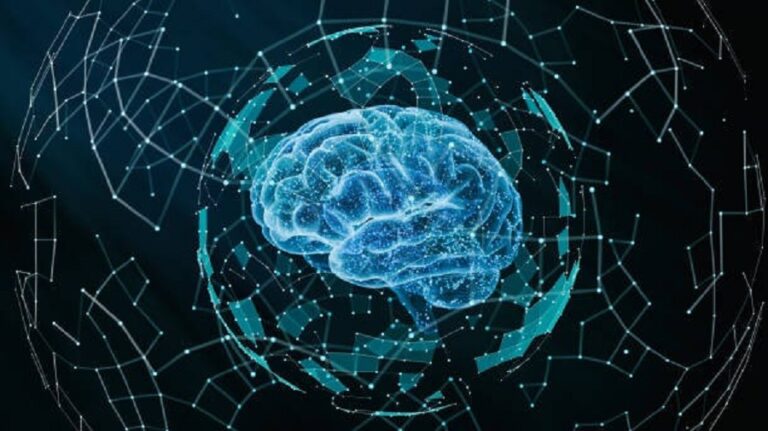 Neural Network