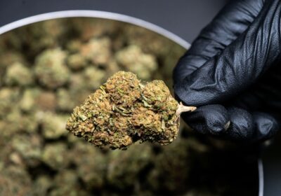 Exploring Cannabis Consumption Methods: Finding Your Perfect Fit