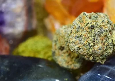 Knowing About The Death Master Strain