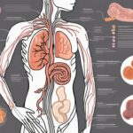 The Science Behind Magnesium and Bowel Regularity