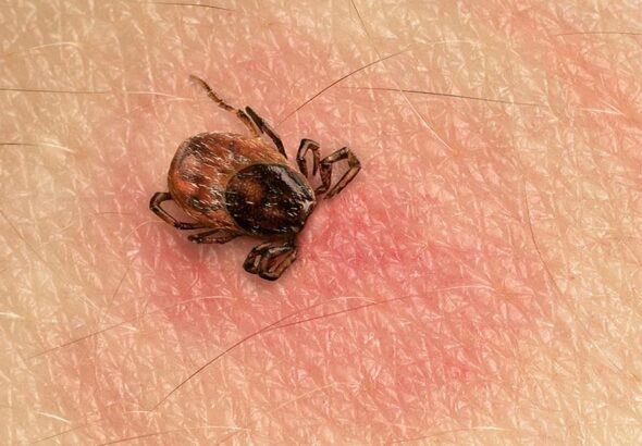 article_32485009_featured_1775458185